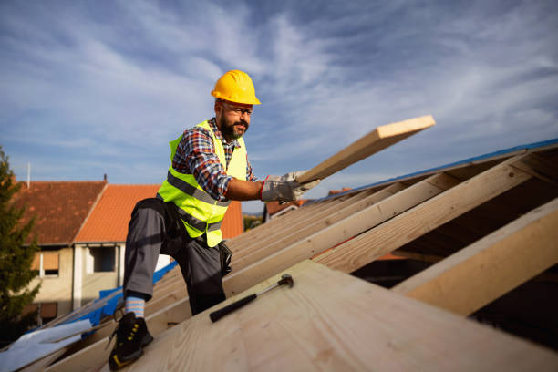 Best Gutter Replacement  in Benson, NC